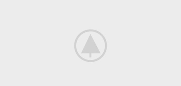 wood portfolio placeholder